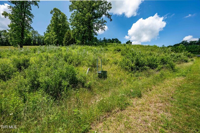 TDB Ridgeview Dr, Mountain City, TN 37683 - photo 35