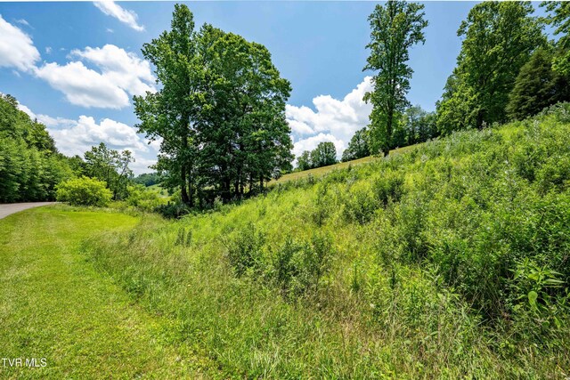 TDB Ridgeview Dr, Mountain City, TN 37683 - photo 36