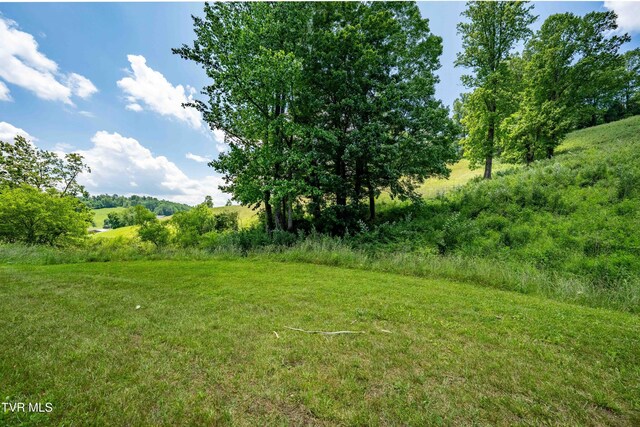 TDB Ridgeview Dr, Mountain City, TN 37683 - photo 37