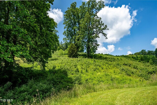 TDB Ridgeview Dr, Mountain City, TN 37683 - photo 38