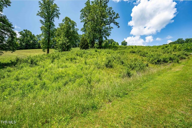 TDB Ridgeview Dr, Mountain City, TN 37683 - photo 39