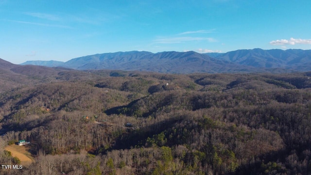 3521 James Phillips Way, Sevierville, TN 37876 - view of mountain background with a heavily wooded area