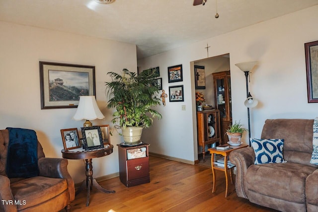3521 James Phillips Way, Sevierville, TN 37876 - living area with wood-type flooring and baseboards