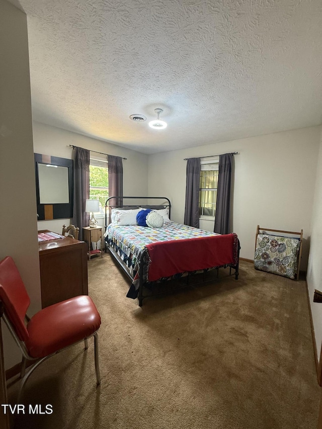 3521 James Phillips Way, Sevierville, TN 37876 - bedroom featuring carpet and a textured ceiling