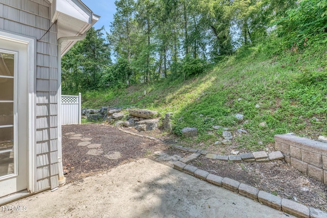 82 Hiddenbrook Ln Unit 82, Gray, TN 37615 - view of yard