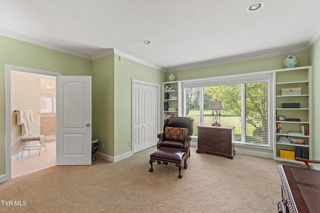 3810 Whirlwind Rd, Greeneville, TN 37743 - photo 28