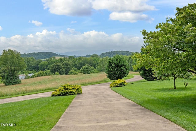 3810 Whirlwind Rd, Greeneville, TN 37743 - photo 6