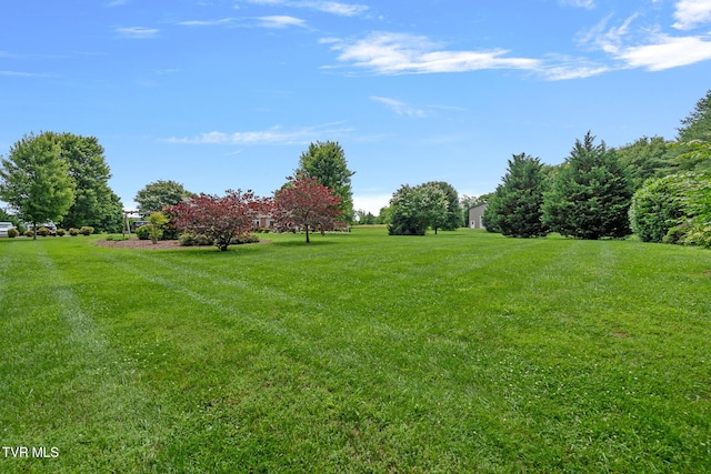 3810 Whirlwind Rd, Greeneville, TN 37743 - photo 61