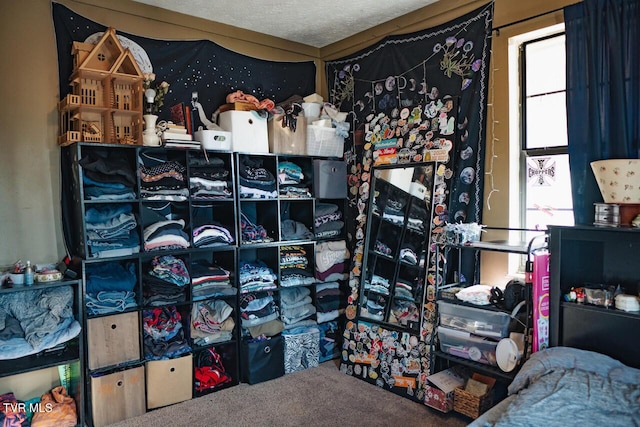 3525 James Phillips Way, Sevierville, TN 37876 - view of storage