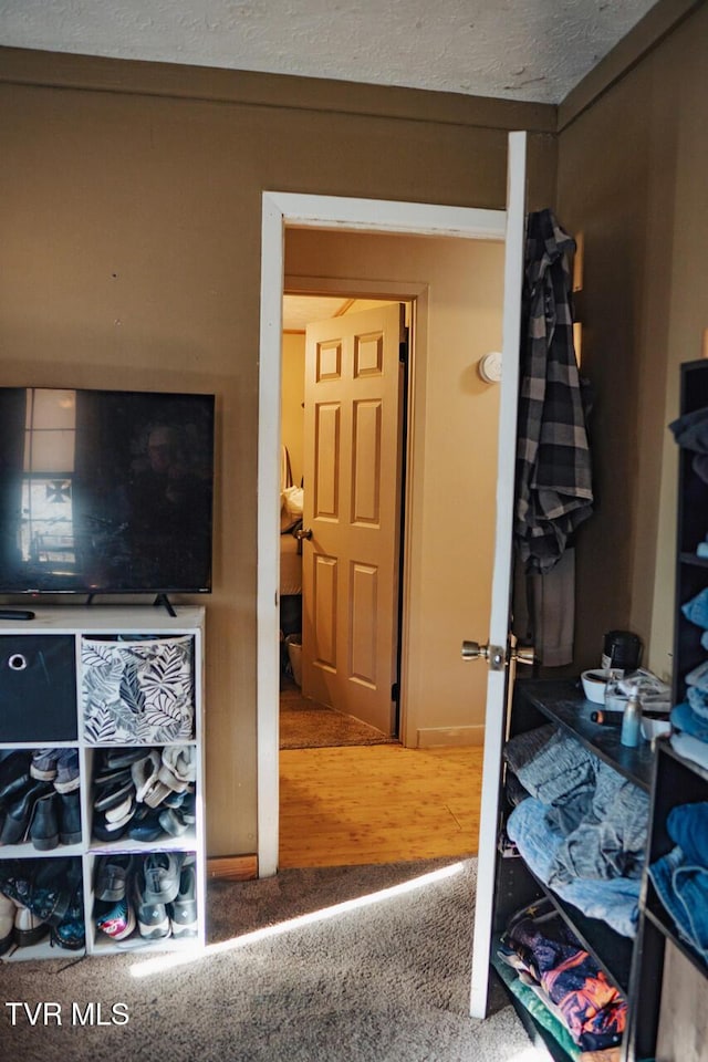 3525 James Phillips Way, Sevierville, TN 37876 - bedroom featuring carpet flooring and a textured ceiling