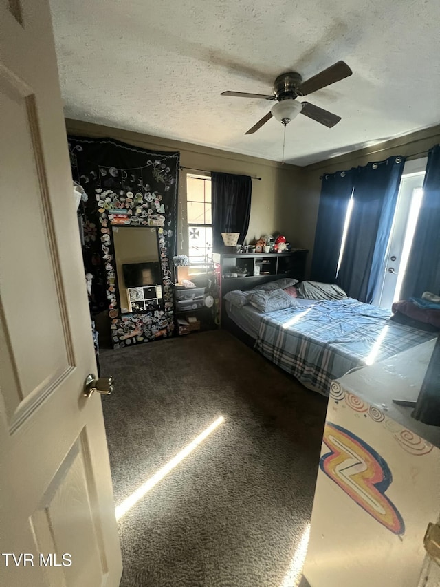 3525 James Phillips Way, Sevierville, TN 37876 - bedroom with carpet, a textured ceiling, and a ceiling fan