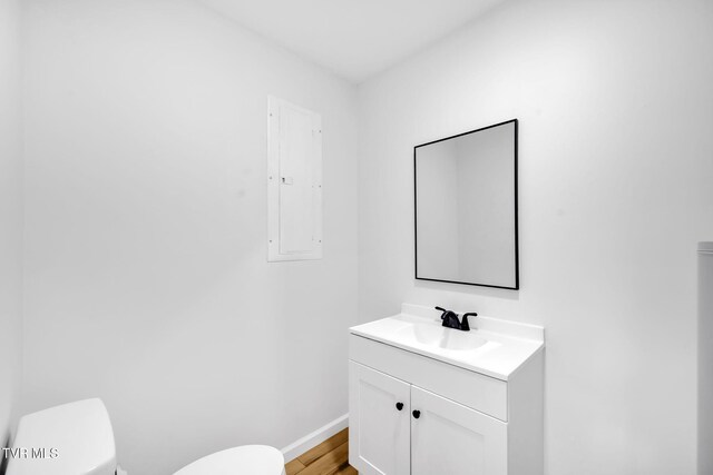 252 Kiser Cir, Jonesborough, TN 37659 - half bath with electric panel, vanity, and wood finished floors