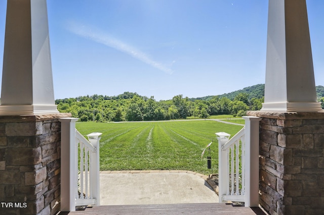 313 Treadway Trl, Jonesborough, TN 37659 - view of green lawn with a wooded view and covered porch