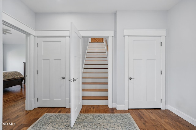 313 Treadway Trl, Jonesborough, TN 37659 - stairway featuring wood finished floors and baseboards