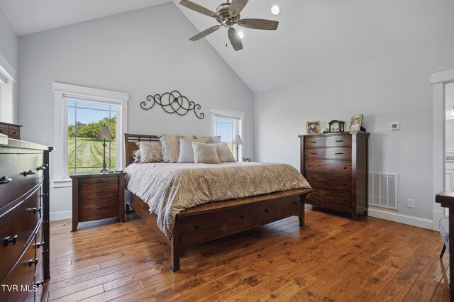313 Treadway Trl, Jonesborough, TN 37659 - bedroom featuring high vaulted ceiling, multiple windows, light wood-type flooring, and a ceiling fan