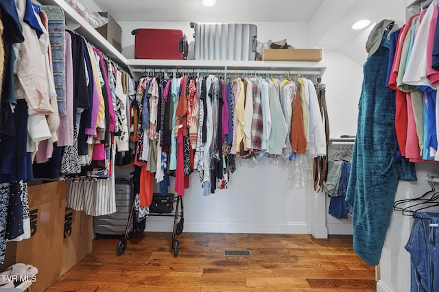313 Treadway Trl, Jonesborough, TN 37659 - spacious closet with wood finished floors