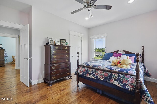 313 Treadway Trl, Jonesborough, TN 37659 - bedroom with recessed lighting, hardwood / wood-style flooring, and ceiling fan