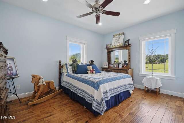313 Treadway Trl, Jonesborough, TN 37659 - bedroom featuring wood finished floors, recessed lighting, and a ceiling fan