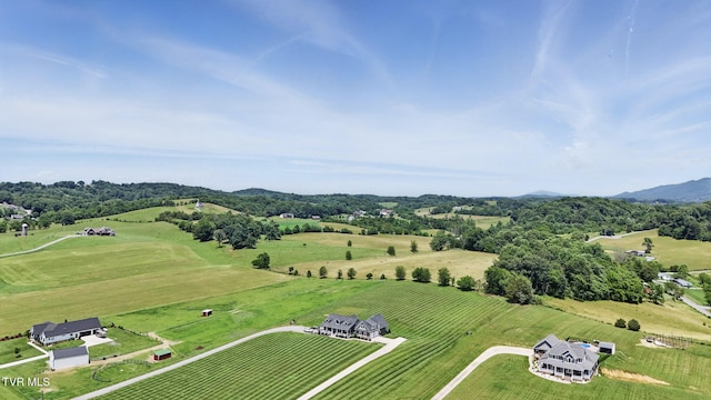 313 Treadway Trl, Jonesborough, TN 37659 - view of rural area with mountains