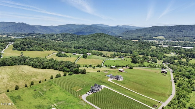 313 Treadway Trl, Jonesborough, TN 37659 - overview of rural landscape featuring a mountainous background