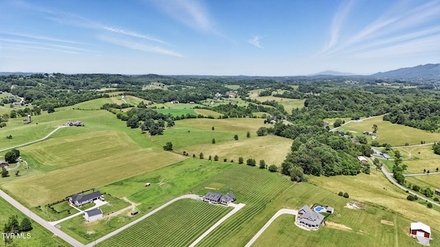313 Treadway Trl, Jonesborough, TN 37659 - view of rural area with a mountainous background