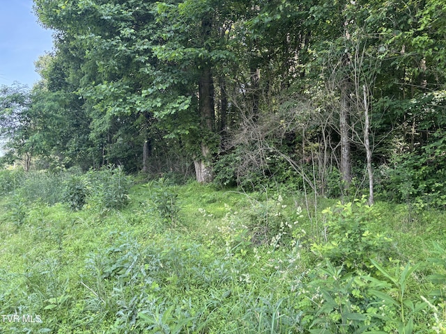TBD Reedy Creek Rd, Abingdon, VA 24210