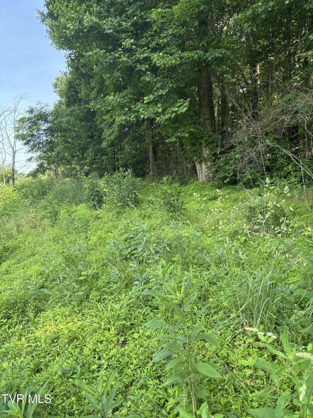 TBD Reedy Creek Rd, Abingdon, VA 24210
