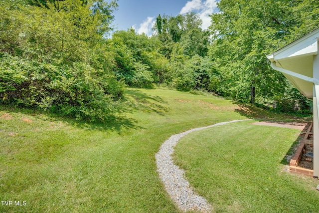 542 Ranier Dr, Kingsport, TN 37663 - photo 25