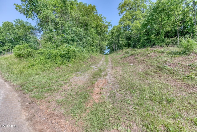 292 Peters Rd, Bristol, TN 37620 - photo 2