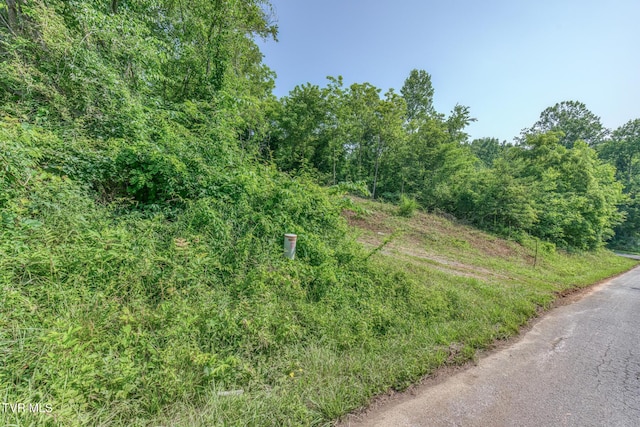 292 Peters Rd, Bristol, TN 37620 - photo 3