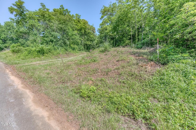 292 Peters Rd, Bristol, TN 37620 - photo 4