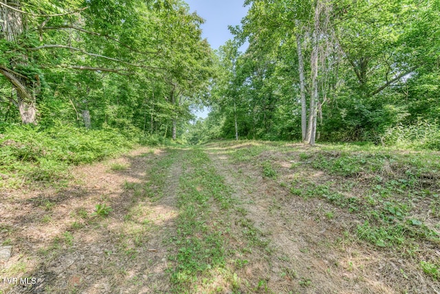 292 Peters Rd, Bristol, TN 37620 - photo 5