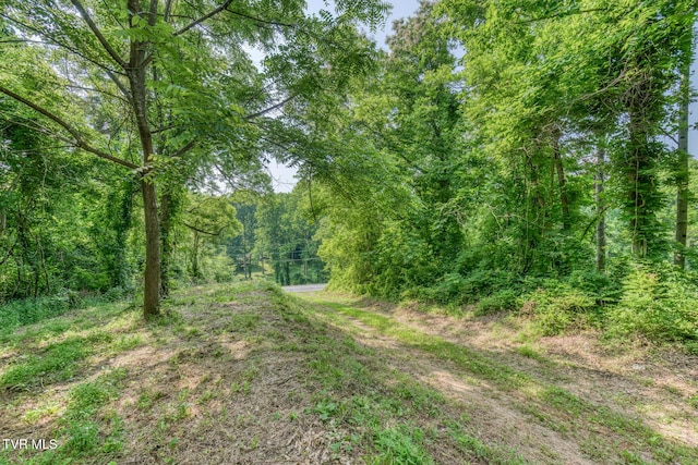 292 Peters Rd, Bristol, TN 37620 - photo 6
