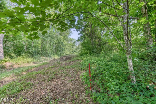 292 Peters Rd, Bristol, TN 37620 - photo 7