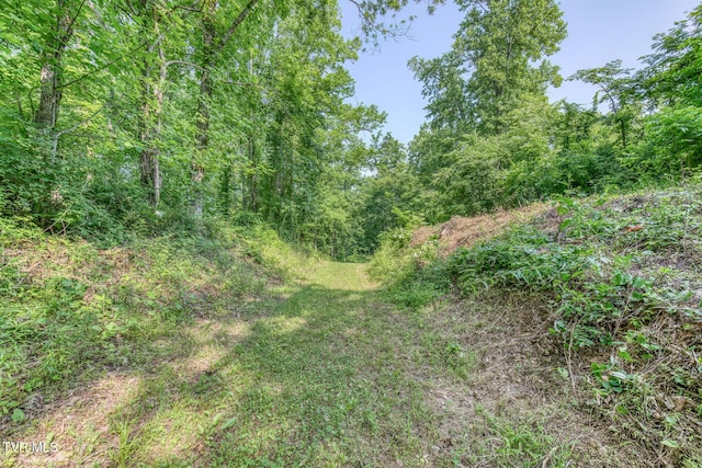292 Peters Rd, Bristol, TN 37620 - photo 8