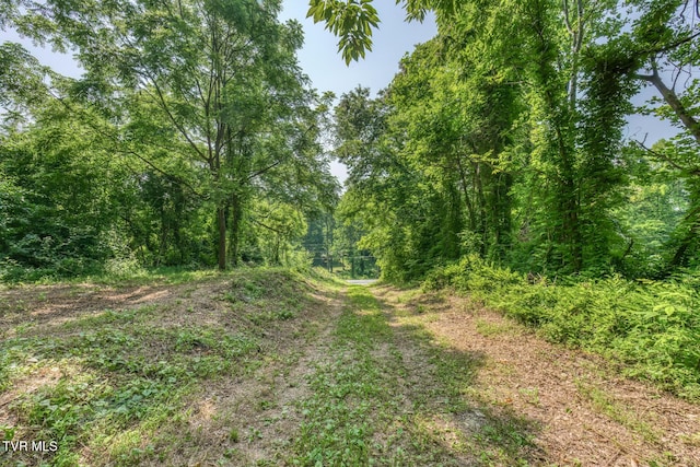 292 Peters Rd, Bristol, TN 37620 - photo 9