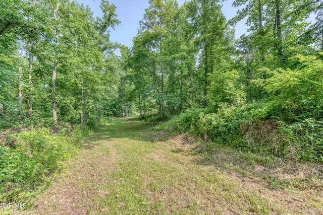292 Peters Rd, Bristol, TN 37620 - photo 10