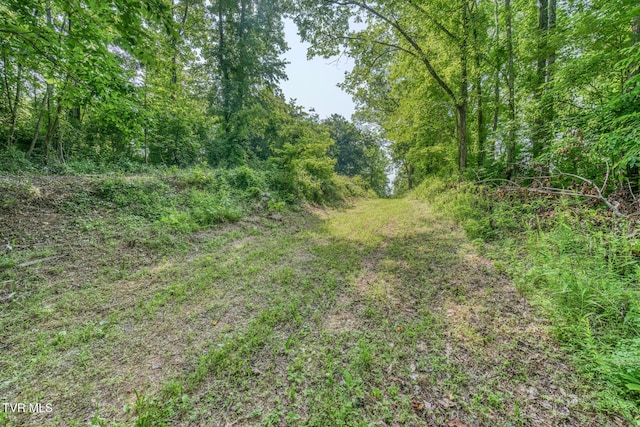 292 Peters Rd, Bristol, TN 37620 - photo 11