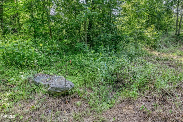 292 Peters Rd, Bristol, TN 37620 - photo 12