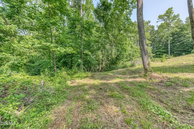 292 Peters Rd, Bristol, TN 37620 - photo 13