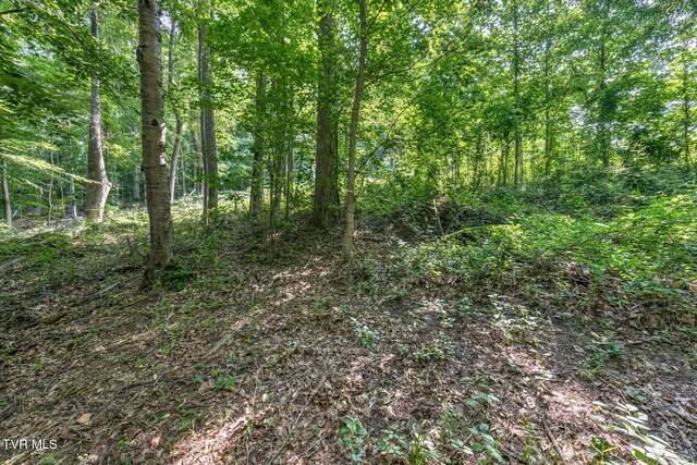 292 Peters Rd, Bristol, TN 37620 - photo 14