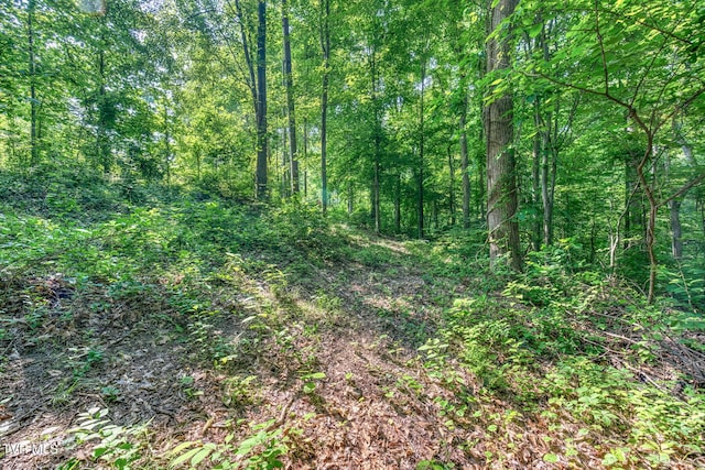 292 Peters Rd, Bristol, TN 37620 - photo 15