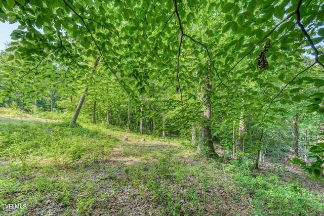 292 Peters Rd, Bristol, TN 37620 - photo 16