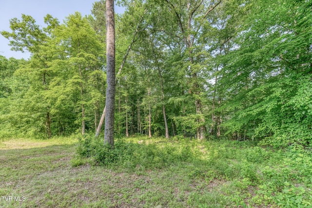 292 Peters Rd, Bristol, TN 37620 - photo 17