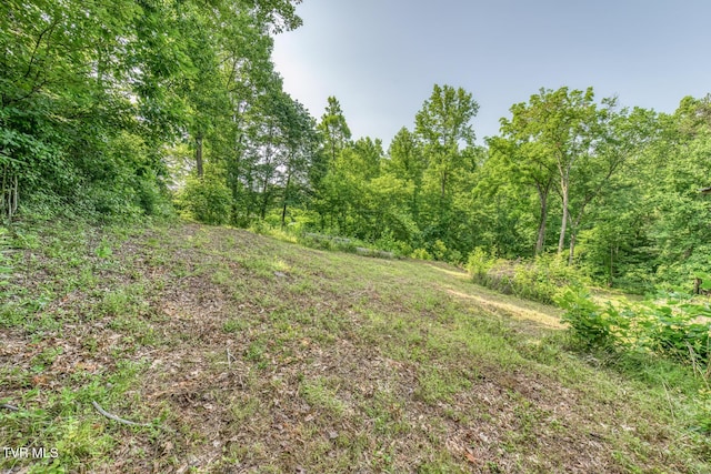 292 Peters Rd, Bristol, TN 37620 - photo 20