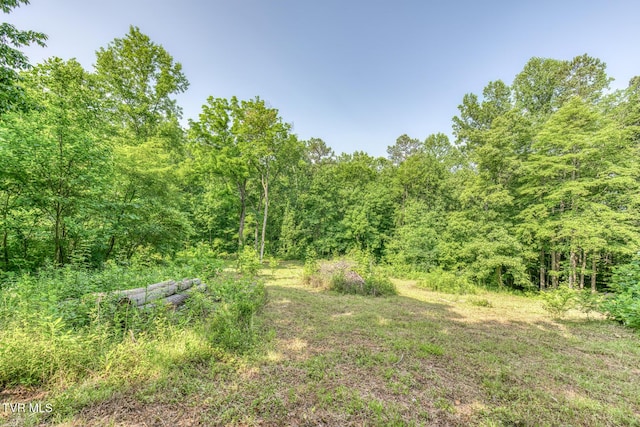 292 Peters Rd, Bristol, TN 37620 - photo 21