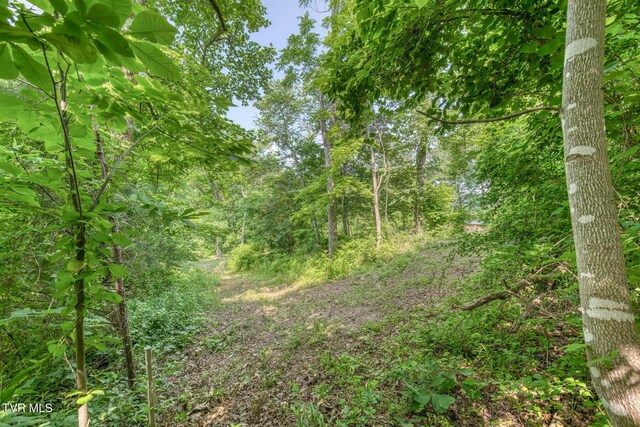 292 Peters Rd, Bristol, TN 37620 - photo 22