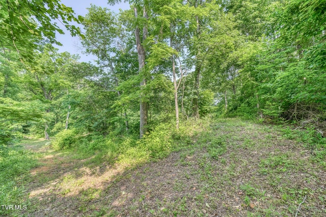 292 Peters Rd, Bristol, TN 37620 - photo 23