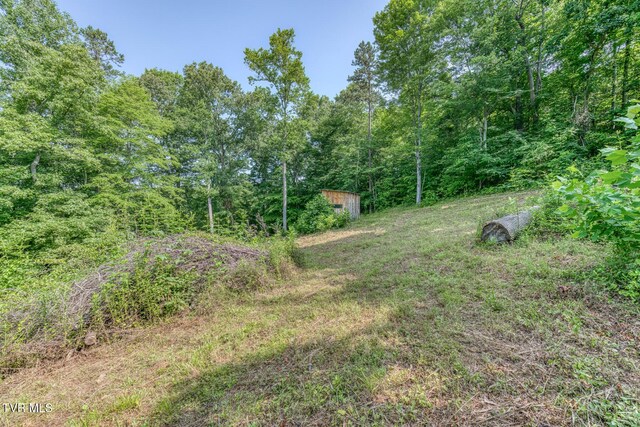 292 Peters Rd, Bristol, TN 37620 - photo 24