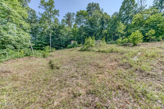 292 Peters Rd, Bristol, TN 37620 - photo 25